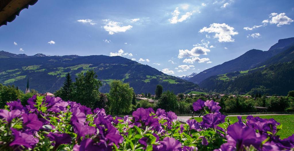 Haidacher Relax&lifestyle
