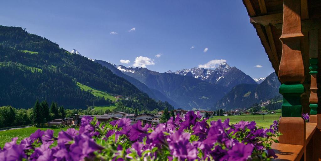 Haidacher Relax&lifestyle